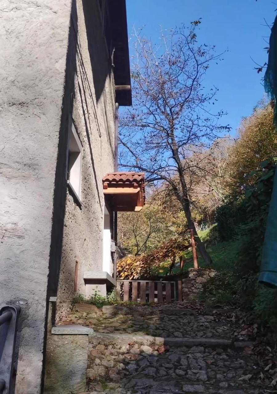 Alpaca'S House: Green, Animals & Lake View 贝拉诺 外观 照片